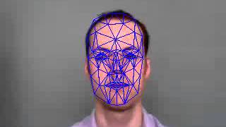 Facial Feature Detection
