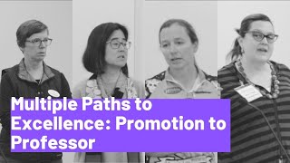 Multiple Paths to Excellence: Promotion to Professor