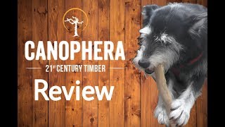 Canophera Hundekaustab Review