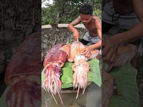 Fisherman Found So Many Fish inside a Giant Squid! 😱