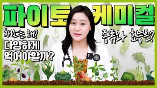 파이토케미컬? 채소를 다양하게 먹어야 하는 이유!
