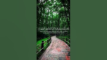 ياأيها الذين آمنوا إن تنصروا الله ينصركم ويثبت أقدامكم #القرآن #سورة_محمد #عادل_ريان