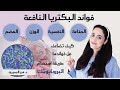 البكتيريا النافعه فوائدها وطرق تعزيزها شروط استخدام البروبيوتك 