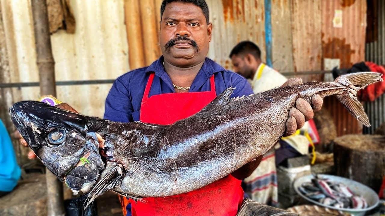 Kasimedu speed selvam very rare fish cutting video 4k video km