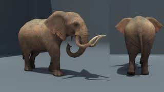 Quadruped, Biped and Alien Animation Portfolio 2021