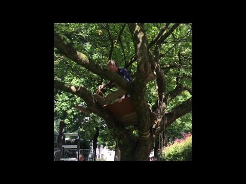 Video: Maak een rondleiding door een boomhut voor vogels