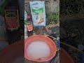 sepray padi pertama