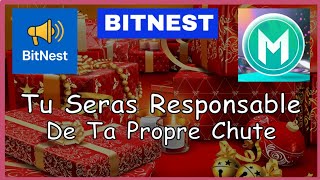 BITNEST 💥 SI TU TOMBES TU 🌲EN ES LE SEUL🔥 RESPONSABLE ♥️
