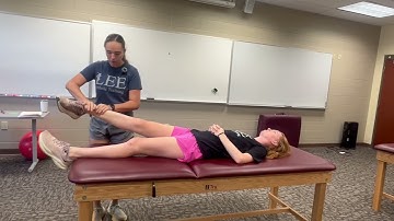 MMT Tensor Fascia Latae