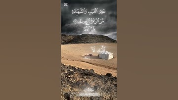 #القرآن_الكريم #المصحف #القرآن #عبدالباسط_عبدالصمد #سورة_الحشر