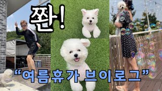 강아지와 함께 하는 여름휴가 vlog / 울산메르시펜션 / 강아지펜션 /애견동반펜션 /여름휴가/울산해월당빵집/울산맛집/울산여행