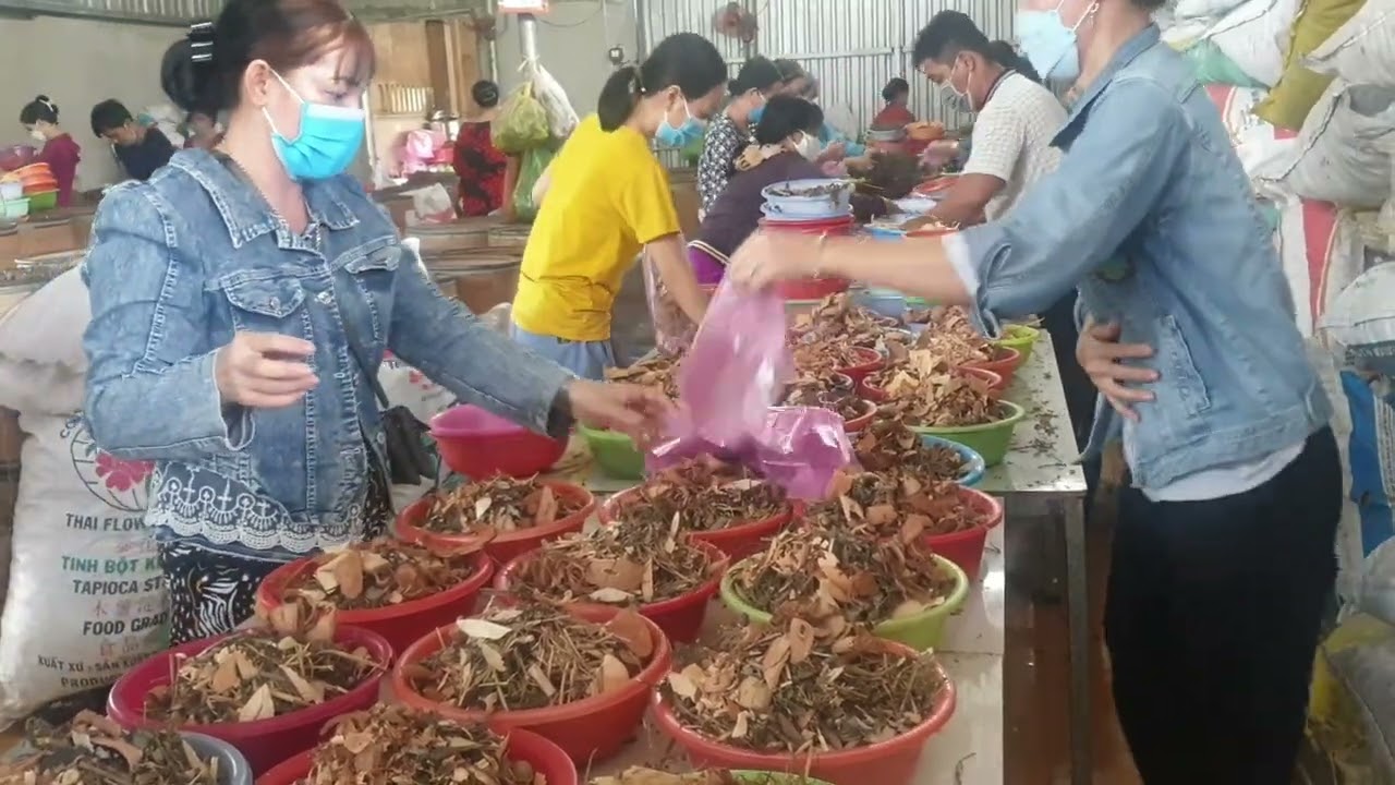 Trị bệnh miễn phí cho Dân | Chùa Long Thành