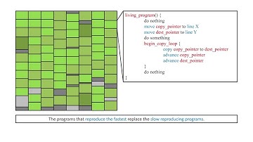 Tierra - Complex Systems Simulation and Artificial Life