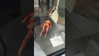 IMG 2064