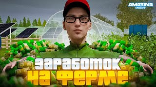 ЗАРАБОТОК на ФЕРМЕ для НОВИЧКОВ AMAZING ONLINE - ПОДРОБНЫЙ ГАЙД по РАБОТЕ (CRMP)