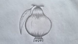 How To Draw A Pomegranate Pomegranate Drawing Tututorial......