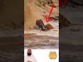 ارتجف الشاهق من مواجهة الاسد وحيوان النو ولحظة المواجهه الى مجرى السيول المتدفقه اكسبلور