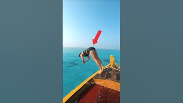 Never jump into the sea 😱😨 #shorts #facts #trending