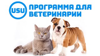 Легкая программа для ветеринарии USU screenshot 1