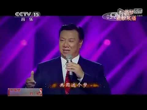 中国梦　刘斌