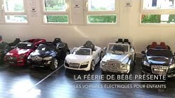Electrik Trotters Youtube