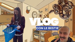 VLOG Giornata con Secsyponti e un salvataggio inaspettato in piscina