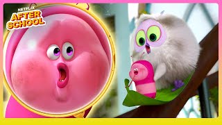 Magenta & Tan's Big Day Out 🐛🌼 Larva Family | Netflix After School