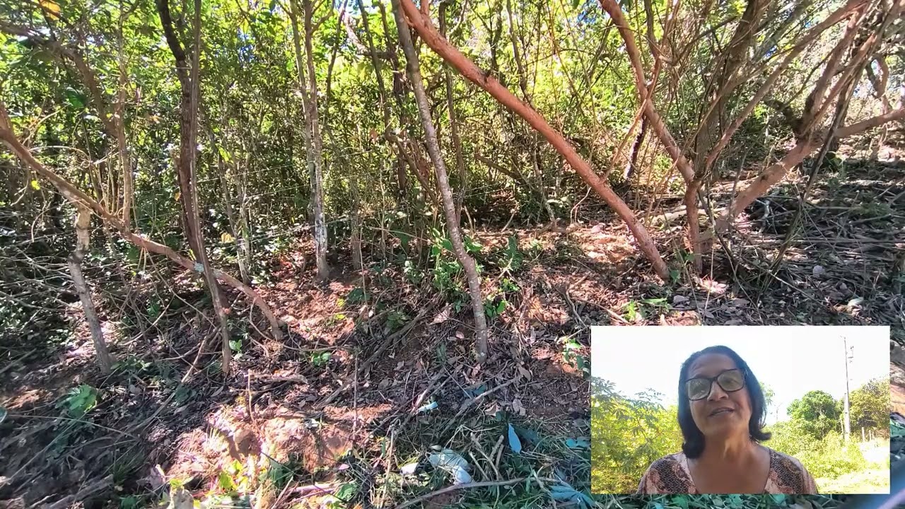 14 de fevereiro de 2026