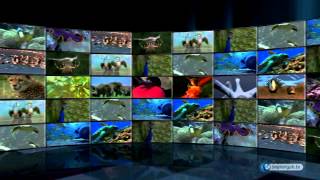 Kalplerin Mühürlenmesi Ve Kader