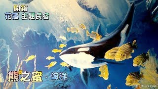 【xD兜位去】花蓮主題民宿開箱｜雙人不用900塊｜海洋主題超夢幻