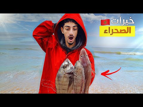 رحلة صيد ليلة كاملة في قلب الصحراء المغربية وصيد أسماك الشرغو العملاقة