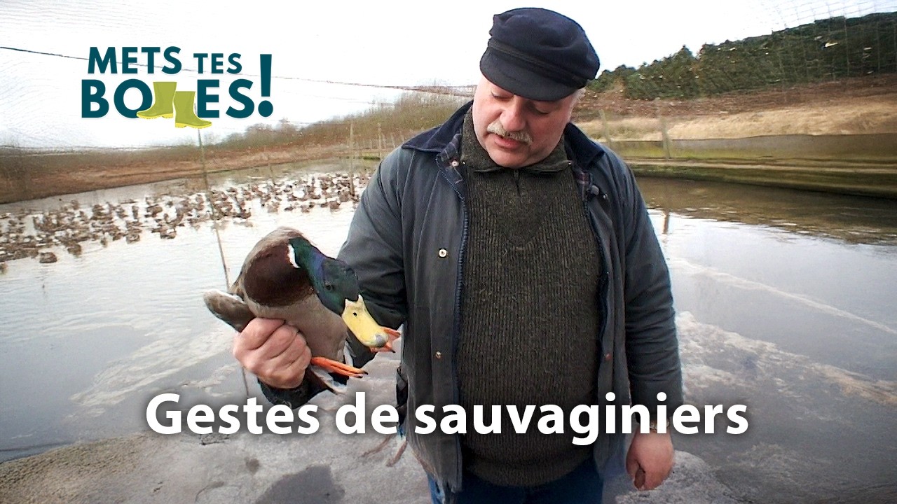 Gibier d’eau : techniques du marais expliquées par des chasseurs expérimentés