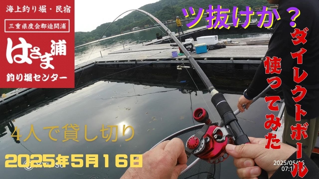 はさま浦釣堀センター 4人で貸し切り　バラシ９は記録かも？　チャプターを設けていますので好きなところに飛んでください