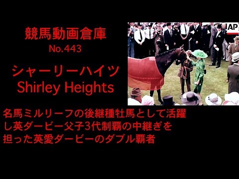 競馬 シャーリーハイツ Shirley Heights No 443 Youtube