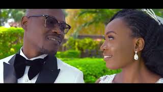 Mark & Diana Wedding highlight