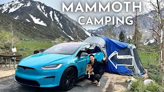 Camping in the Tesla Model X: Heater on All Night, What Happened?