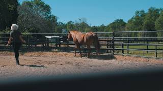 Pool, Pasture & Perfection | Granite Bay Luxury Home Tour