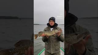 Na tego jerka na zawodach w Sławie złowiliśmy nasze 2 szczupaki. Miszcz😜 #fishing #jerk #spinning