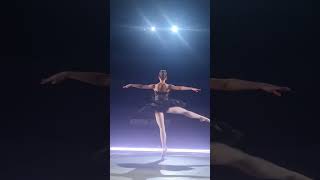 The Highlight Of The Third Act In Swan Lake 32 Turns Fouettes One Of The Most Challenging Parts