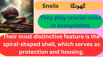 Unbelievable facts about Snails Mollusks
