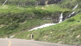 AUTECHRE mesh cinereal @ Glacier National Park's Going to the Sun Rd.