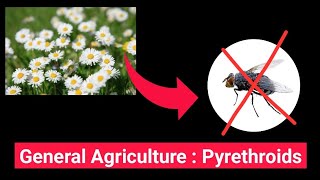 Pyrethroids Insecticide | General Agriculture