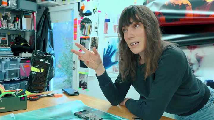Artist Carrie Schneider looks at image culture thr...