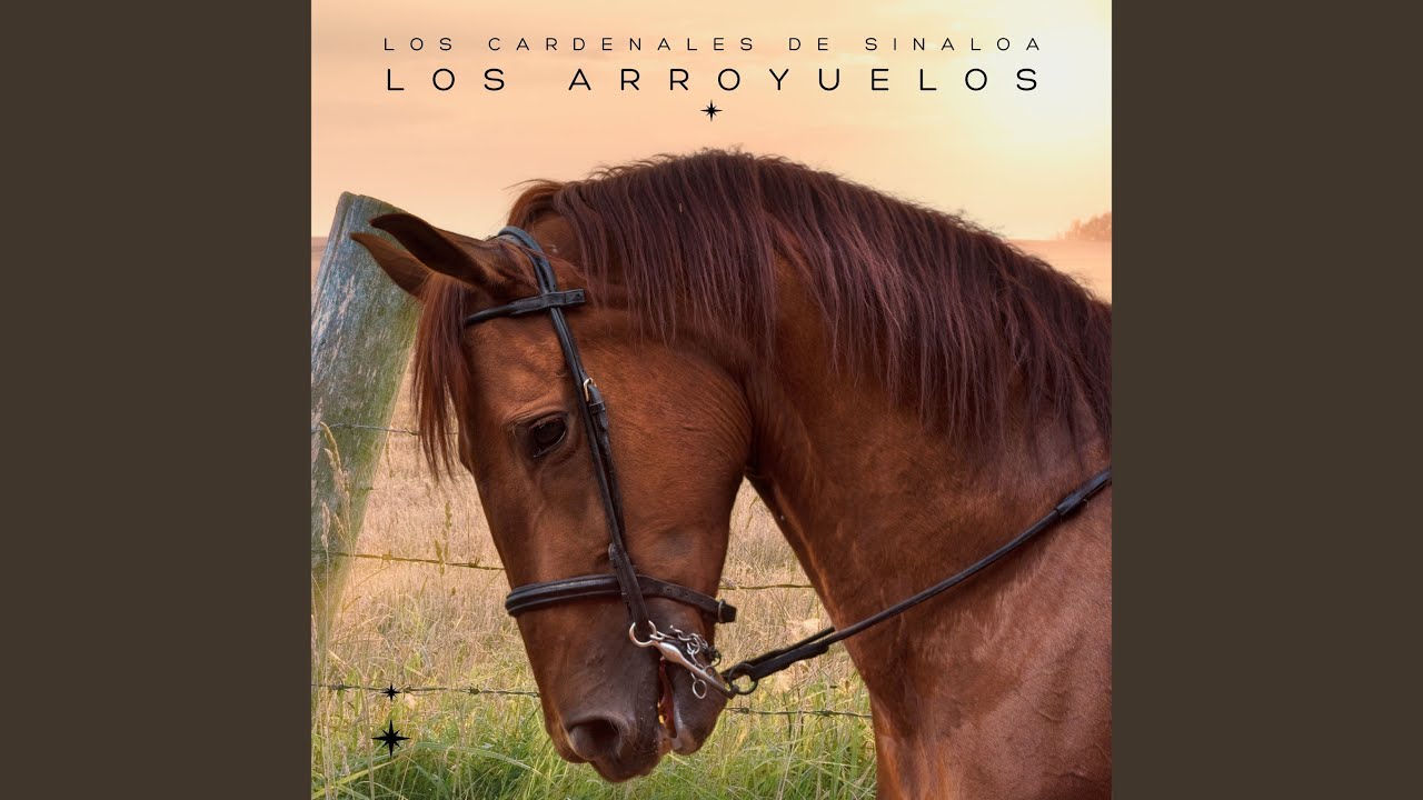 Santos Valdez YouTube