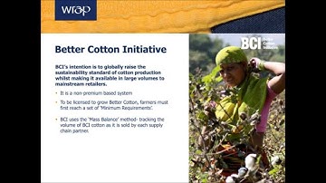 Bite-Sized: Introduction to Sustainable Fibres - Lower Impact Cotton