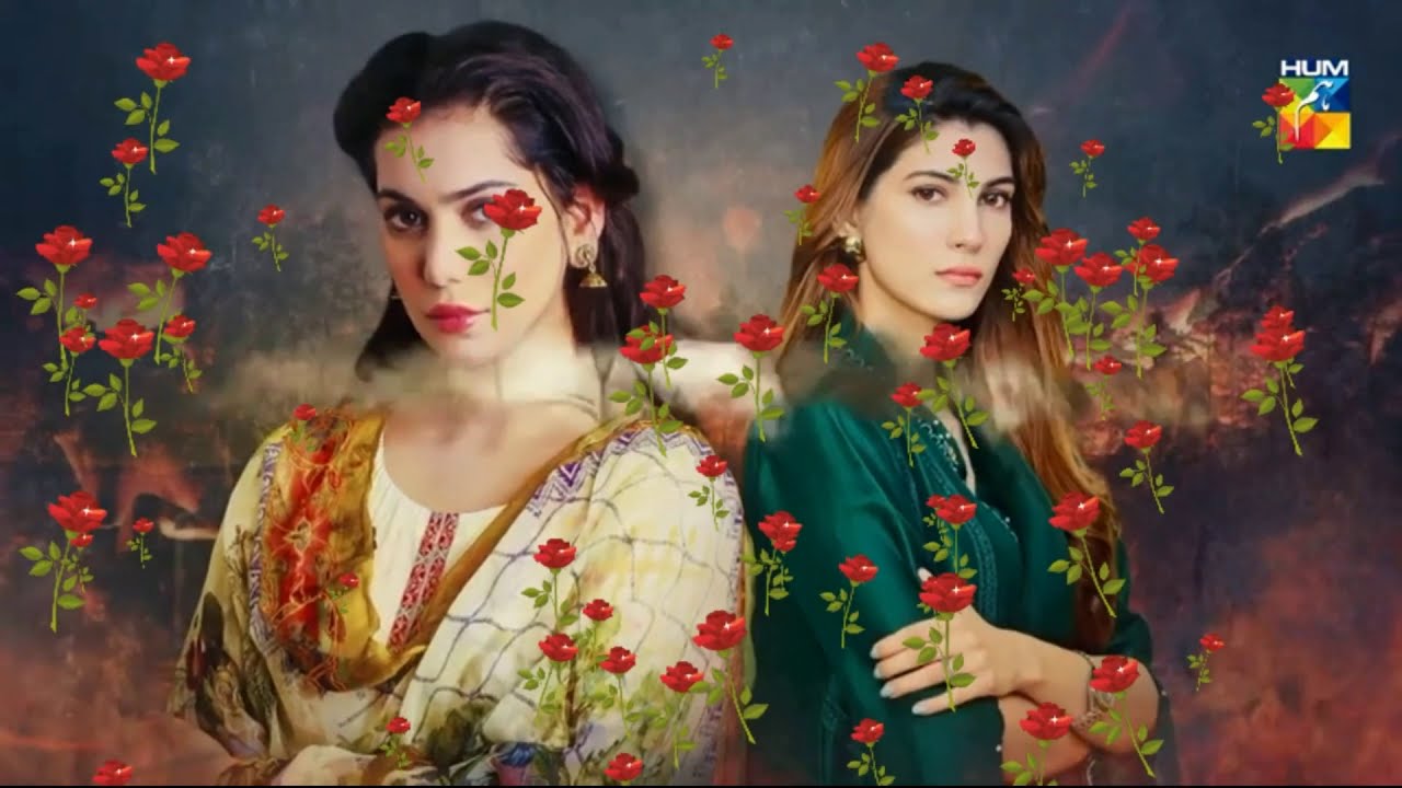 Saraab Episode 11 Promo HUM TV Drama