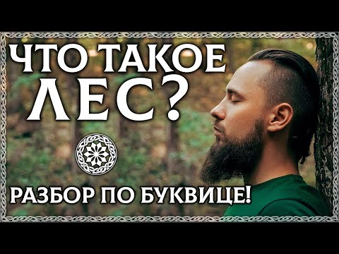 ЧТО ТАКОЕ ЛЕС? Буквица объяснит! Почему лес это храм природы?