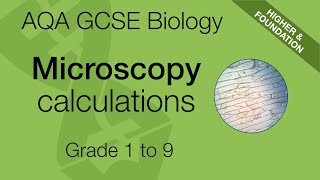 AQA GCSE Biology: Microscopy Calculations | Magnification, Image, and Actual Size Explained