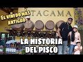 Historia del PISCO 🇵🇪 | Origen ¿PERU o CHILE?, Visitamos Viña TACAMA En #ICA Para averiguarlo #Ep3