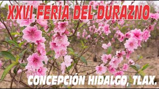 FERIA DEL DURAZNO EN CONCEPCIÓN HIDALGO, ALTZAYANCA, TLAXCALA